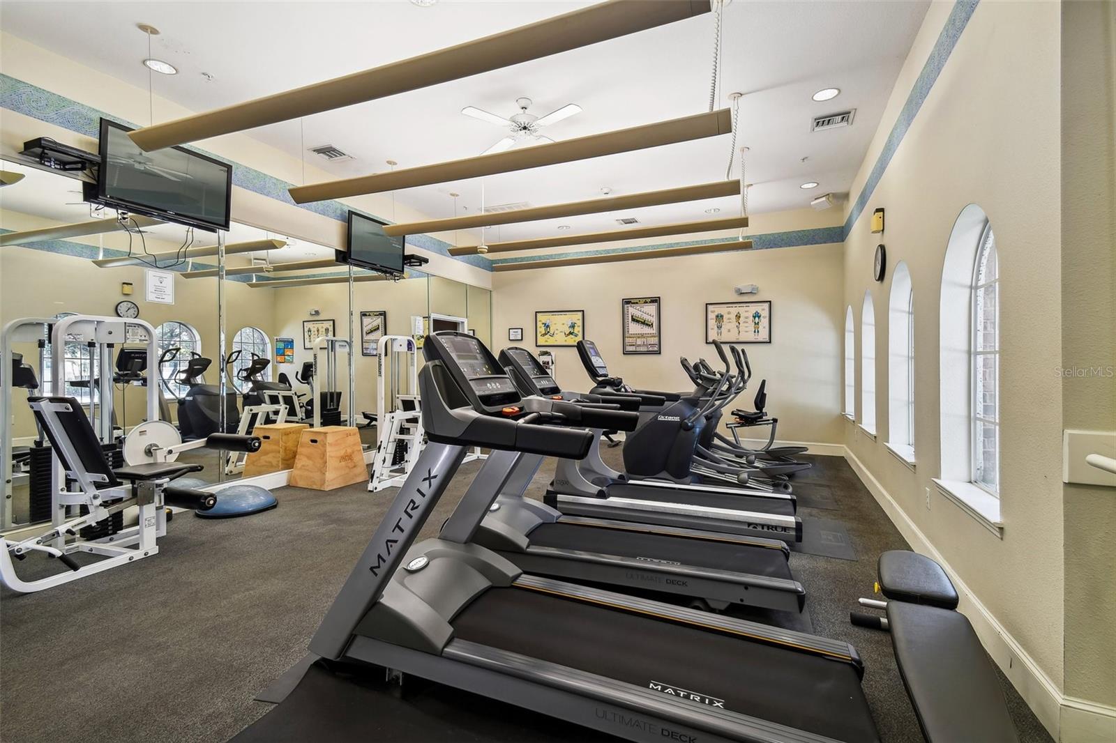 501 KNIGHTS RUN AVE #2309, TAMPA, FL — photo 15