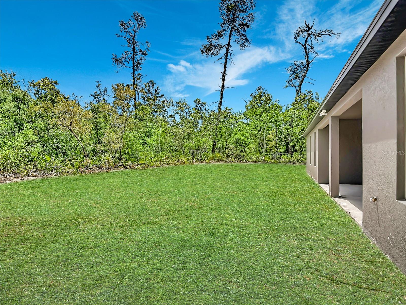 41260 BALSAM ST, EUSTIS, FL — photo 96