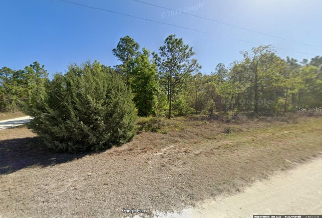15470 CAVE SWALLOW RD, BROOKSVILLE, FL
