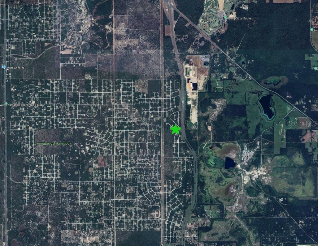 15470 CAVE SWALLOW RD, BROOKSVILLE, FL — photo 3
