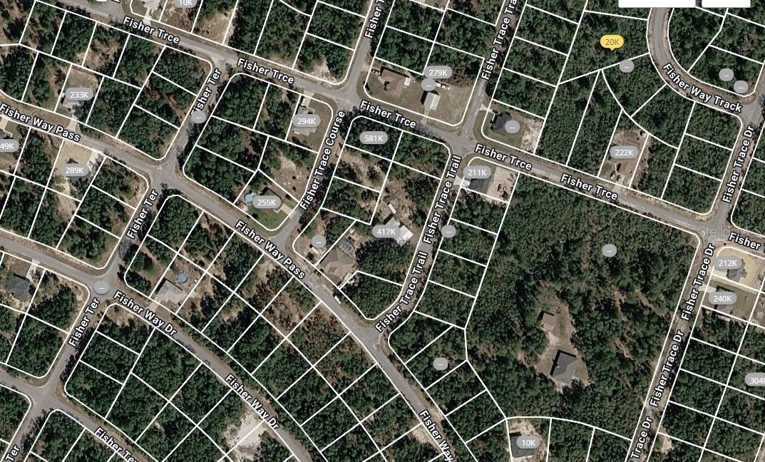 FISHER TRACE TRL, OCKLAWAHA, FL — photo 3