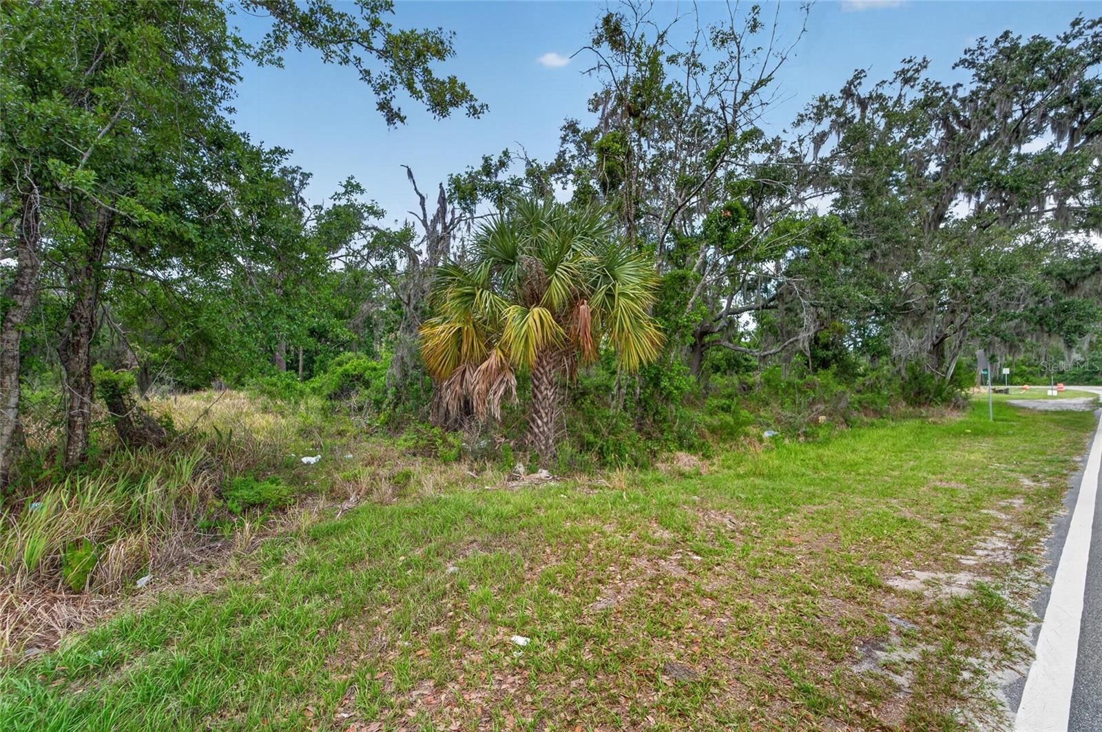 2819 SAFFOLD RD, WIMAUMA, FL — photo 13