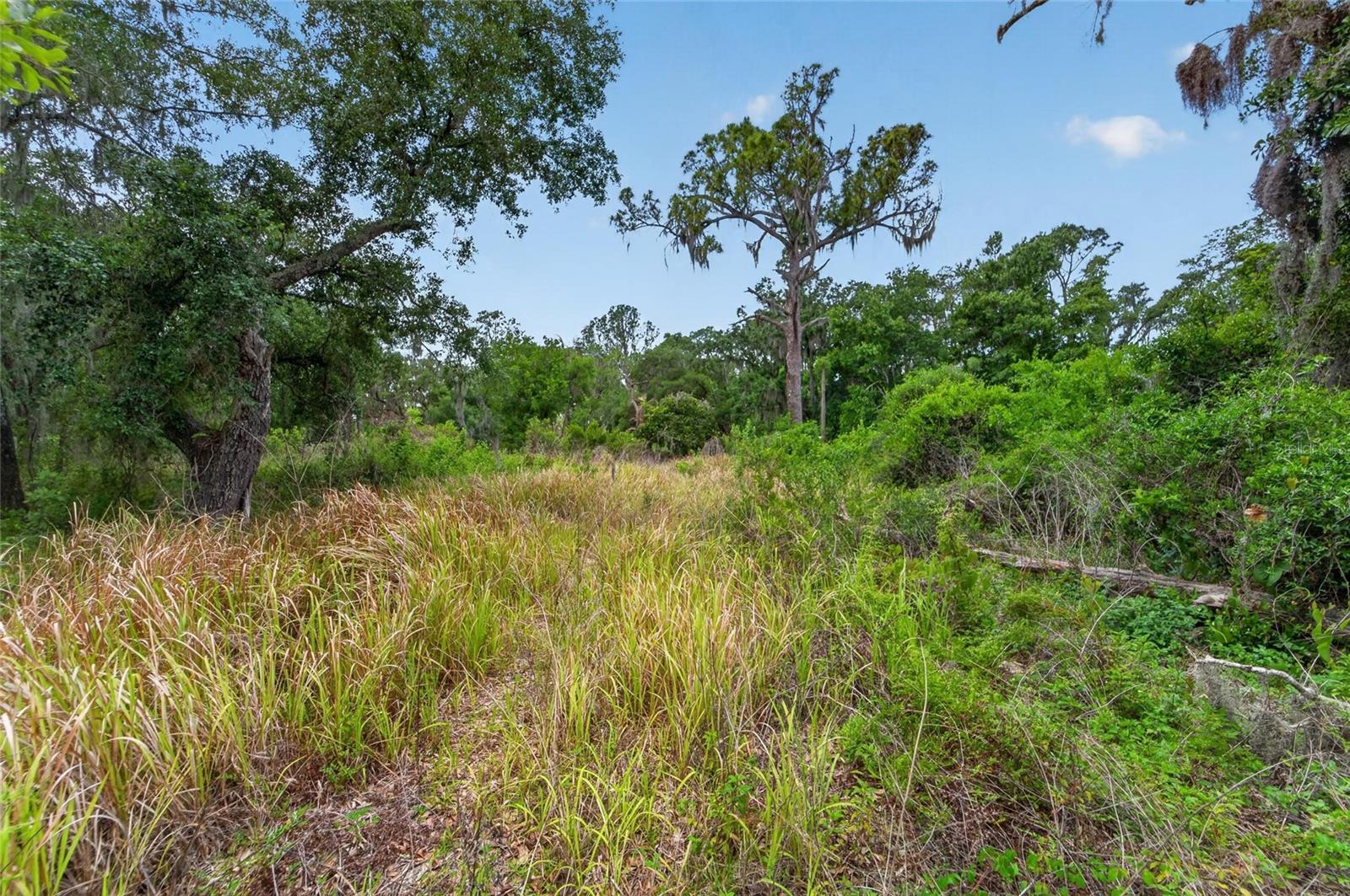 2819 SAFFOLD RD, WIMAUMA, FL — photo 14
