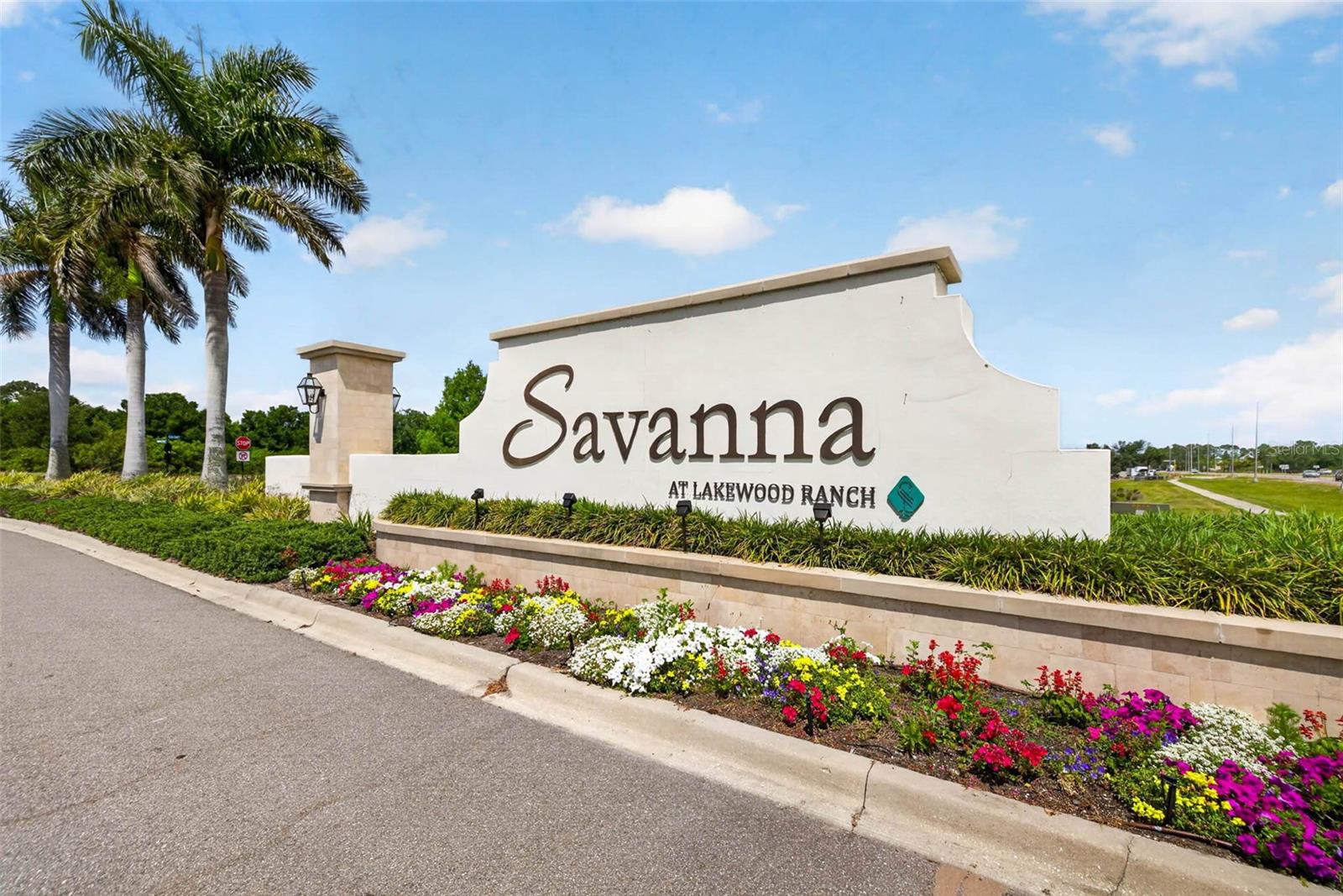3709 SAVANNA PALMS CT, BRADENTON, FL — photo 49