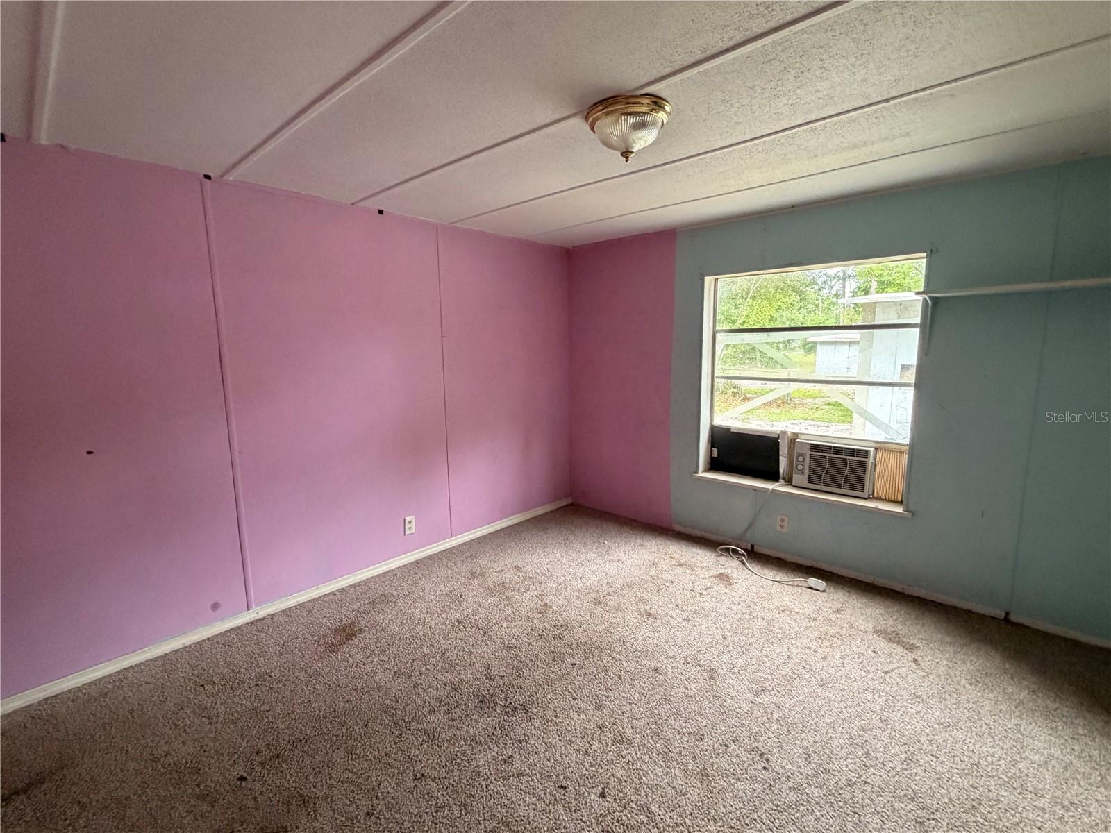 24021 ARMADILLO RD, ASTOR, FL — photo 44