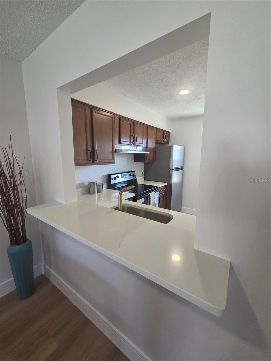 13719 MISSION OAKS BLVD, SEMINOLE, FL — photo 2