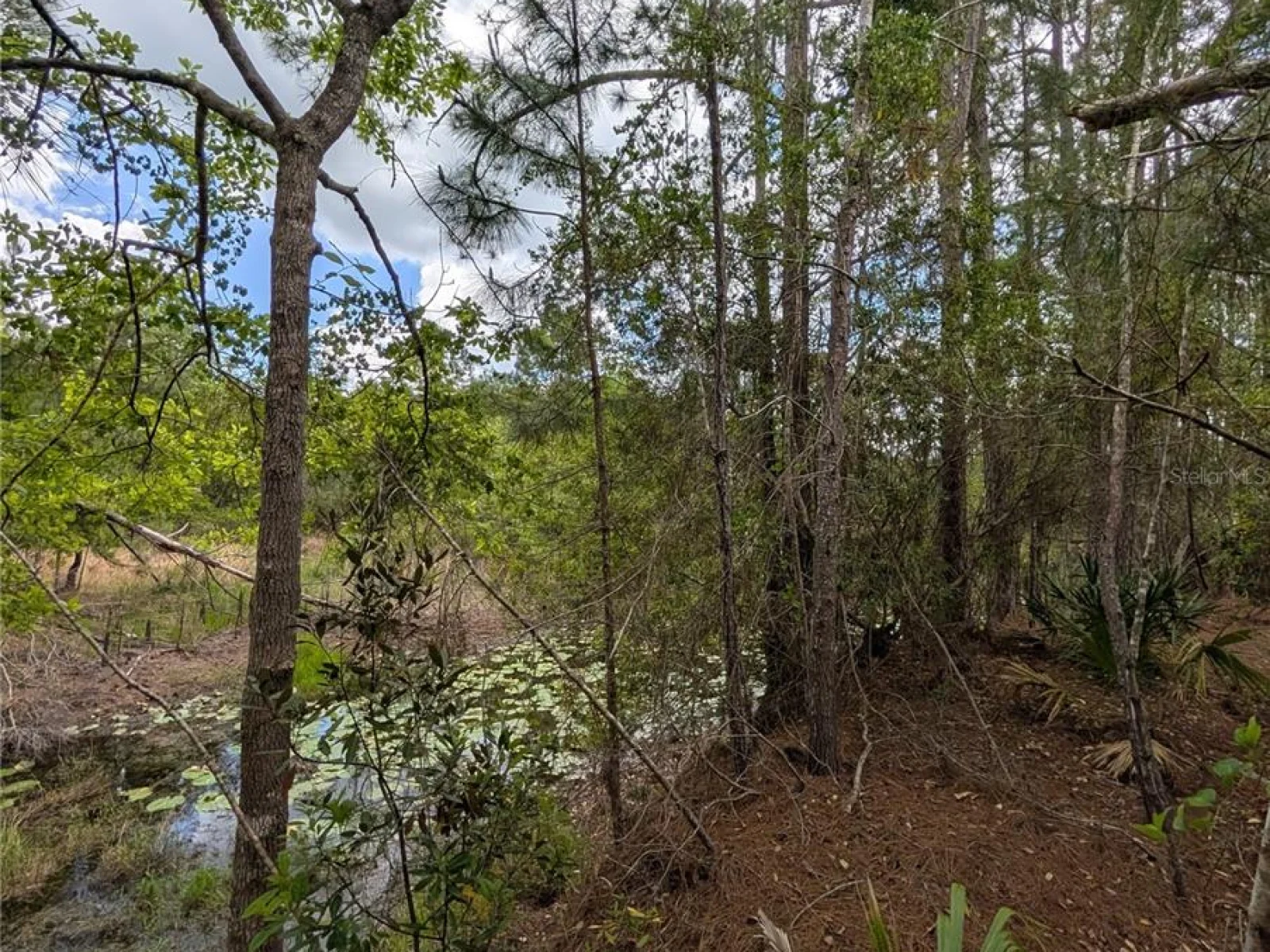 38521 ILEX TRL, EUSTIS, FL — photo 1