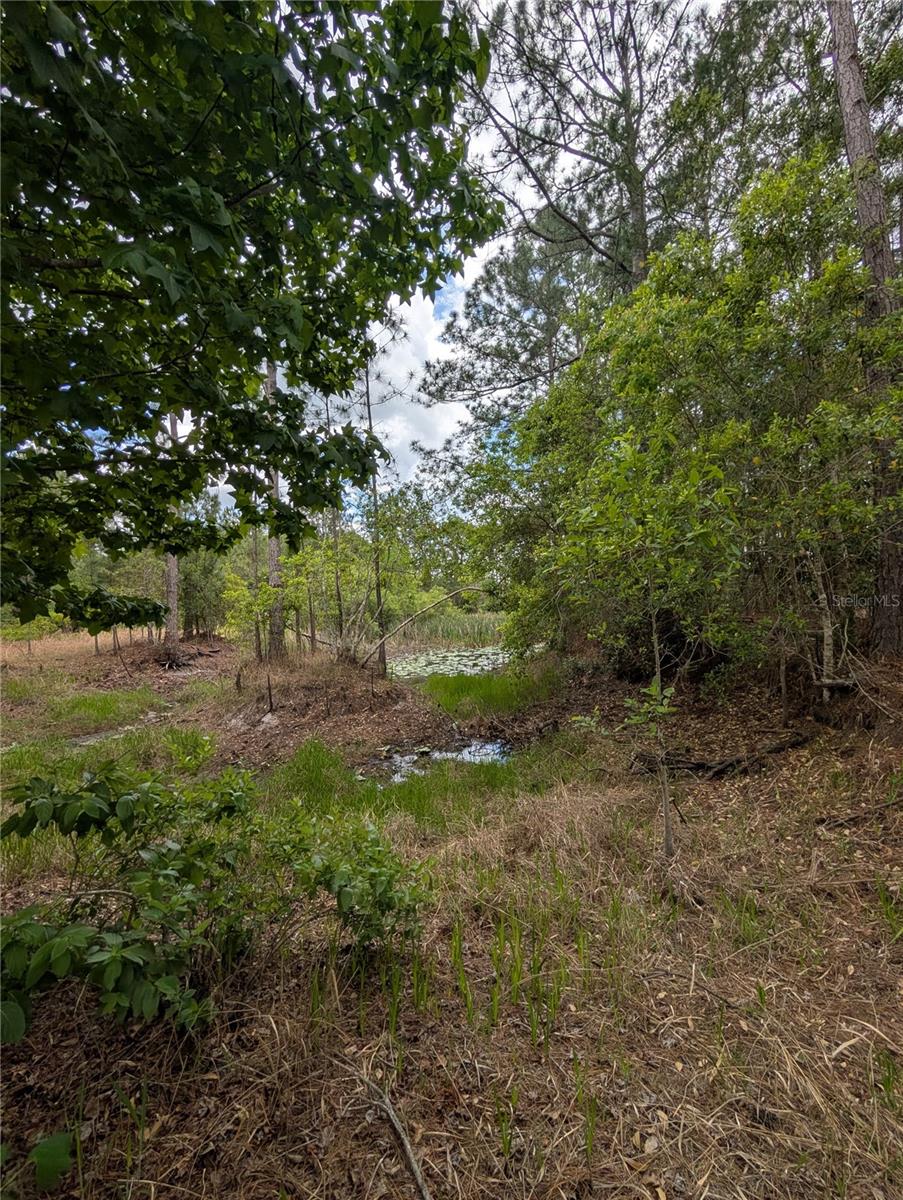 38521 ILEX TRL, EUSTIS, FL — photo 11