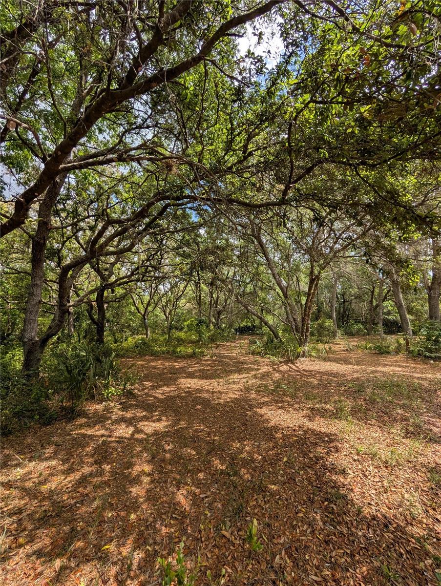 38521 ILEX TRL, EUSTIS, FL — photo 15