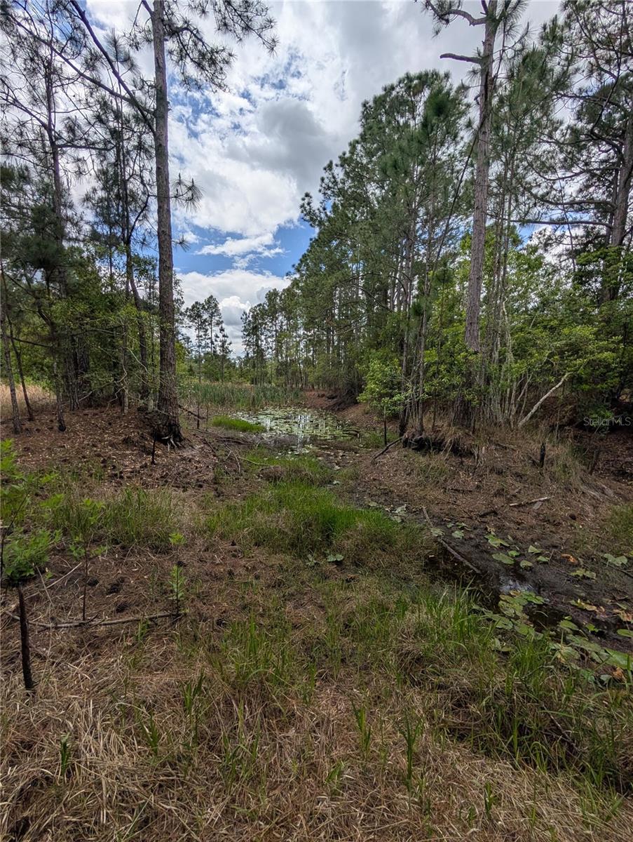 38521 ILEX TRL, EUSTIS, FL — photo 26