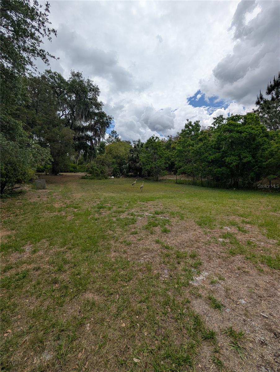 38521 ILEX TRL, EUSTIS, FL — photo 27