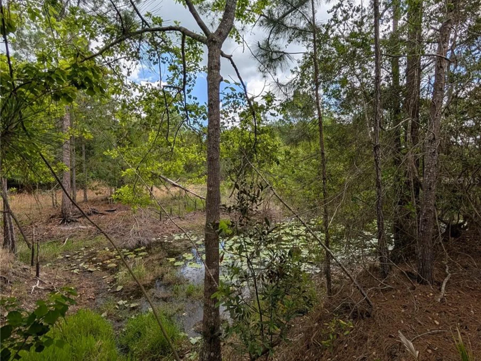 38521 ILEX TRL, EUSTIS, FL — photo 32