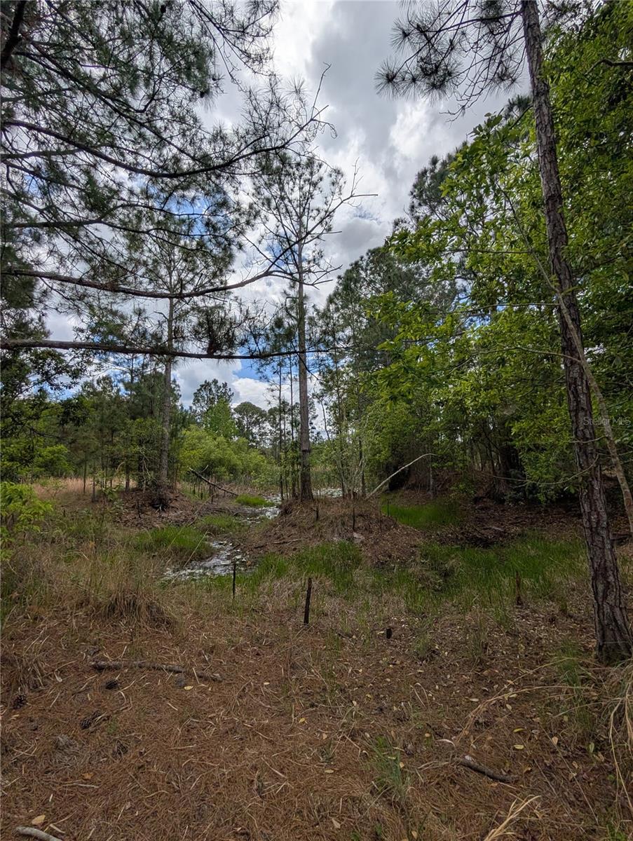 38521 ILEX TRL, EUSTIS, FL — photo 39
