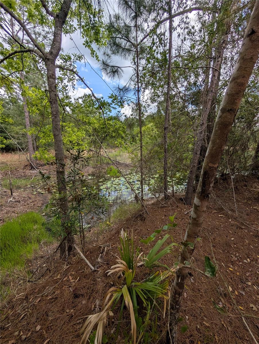 38521 ILEX TRL, EUSTIS, FL — photo 41