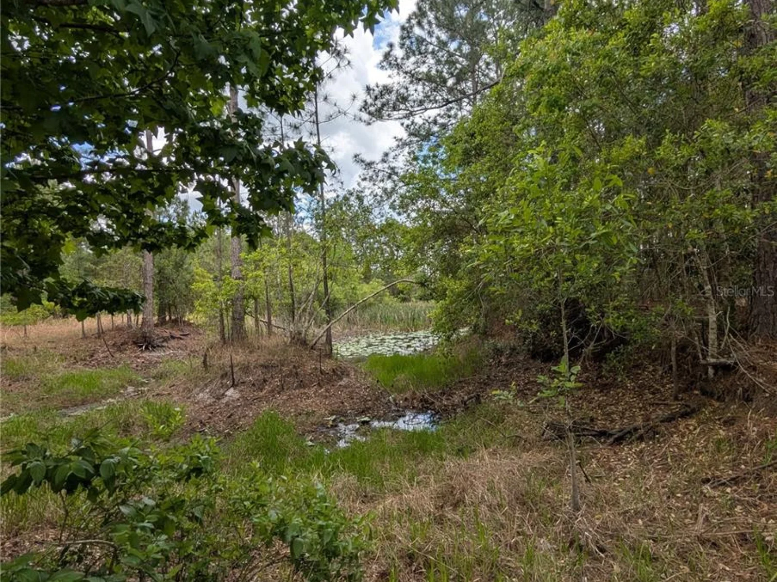 38521 ILEX TRL, EUSTIS, FL — photo 46
