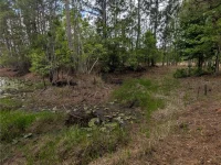 38521 ILEX TRL — photo 48