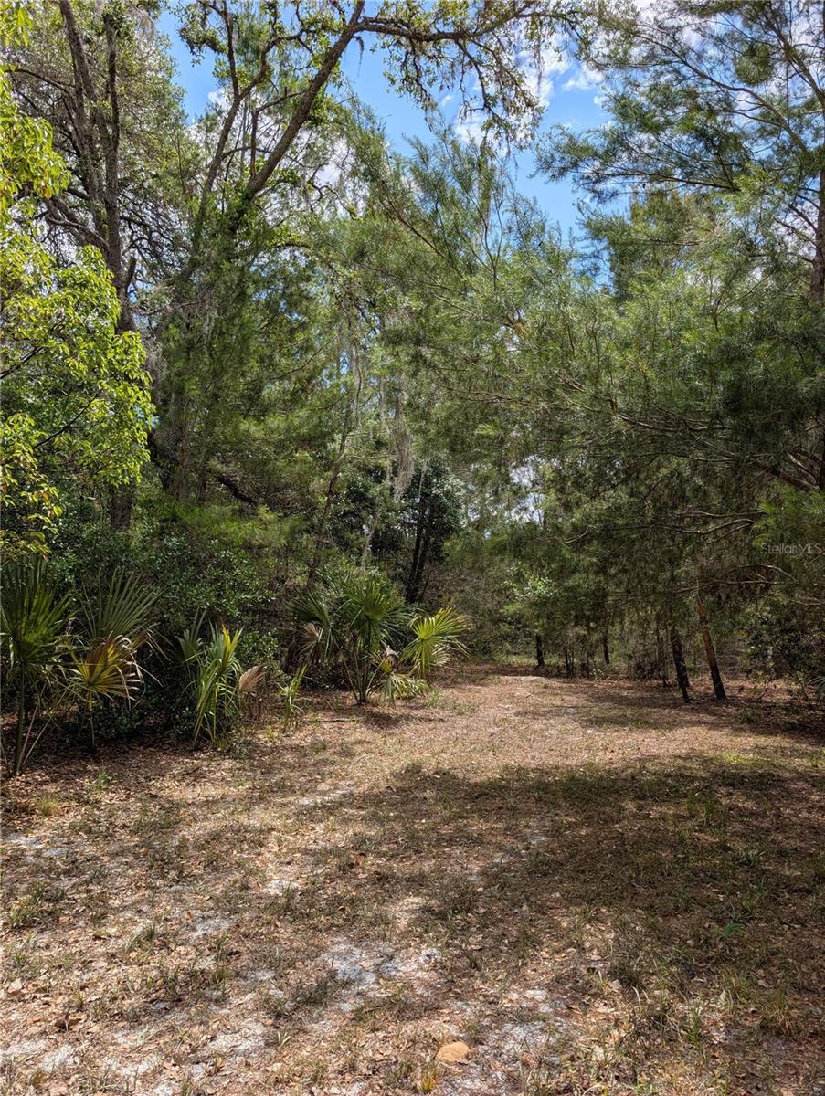 38521 ILEX TRL, EUSTIS, FL — photo 54