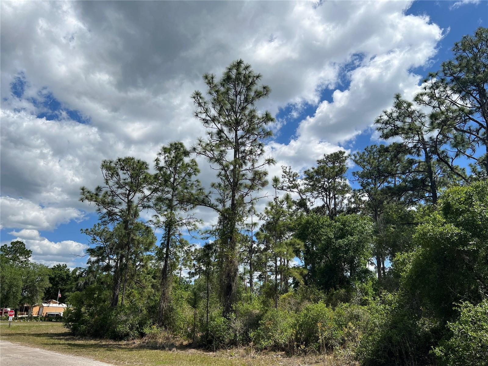 901 AZALEA DR, INDIAN LAKE ESTATES, FL — photo 2
