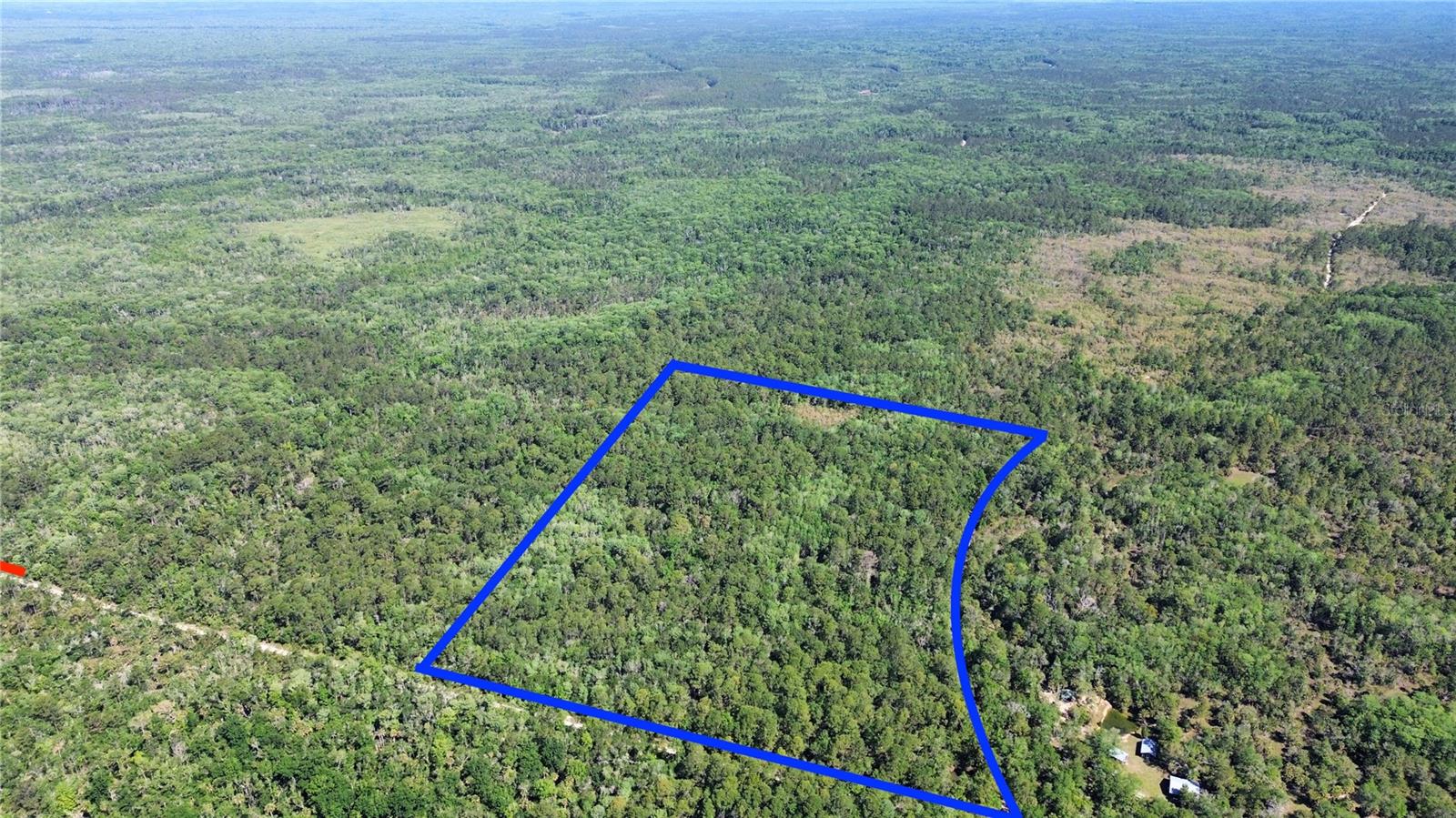 Tract 99 SW CR-347, CHIEFLAND, FL — photo 4
