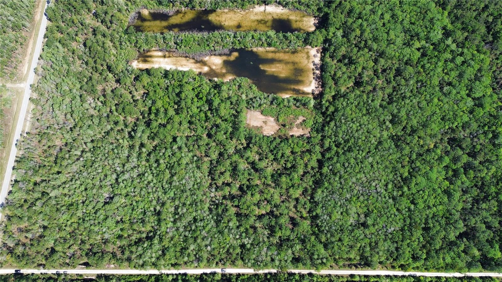 Tract 99 SW CR-347, CHIEFLAND, FL — photo 8