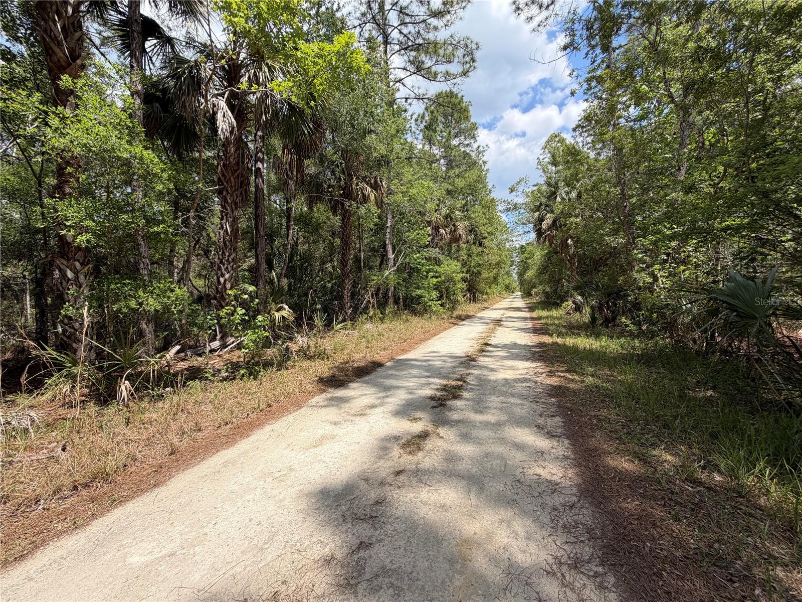Tract 99 SW CR-347, CHIEFLAND, FL — photo 9