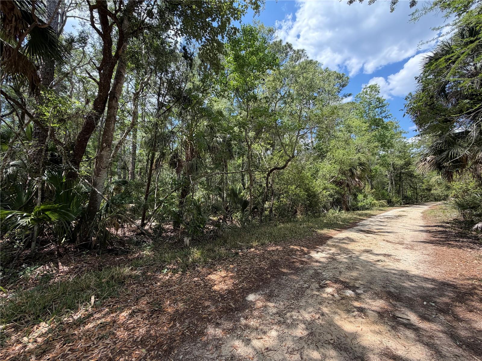 Tract 99 SW CR-347, CHIEFLAND, FL — photo 10
