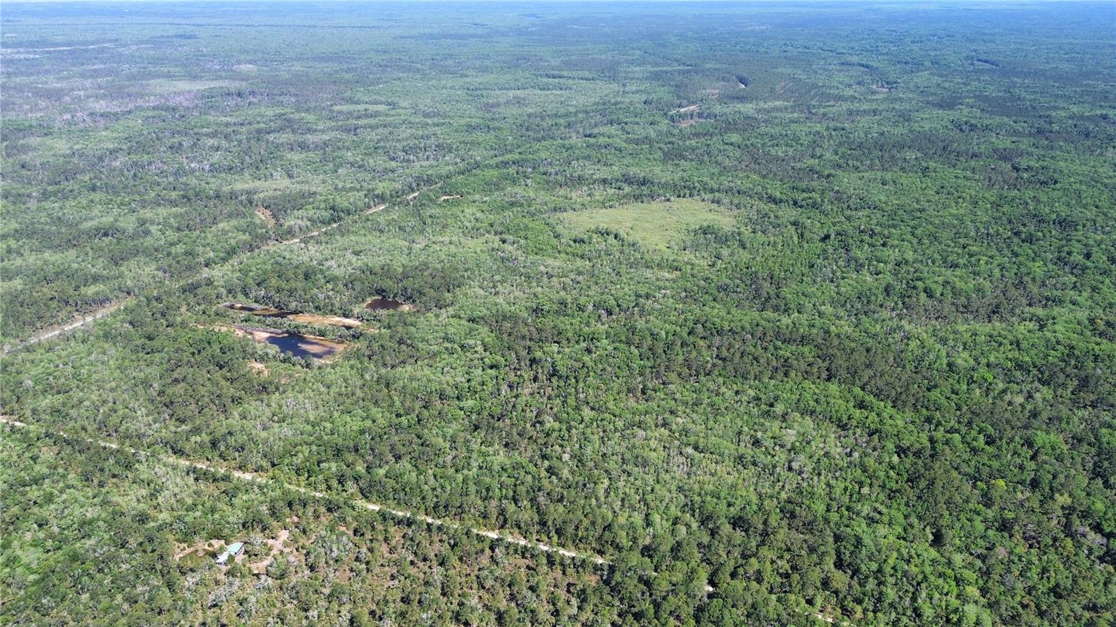 Tract 99 SW CR-347, CHIEFLAND, FL — photo 12