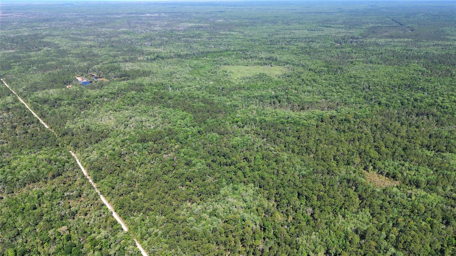 Tract 99 SW CR-347, CHIEFLAND, FL — photo 14