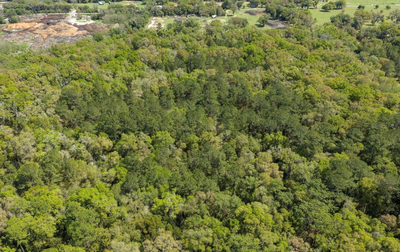 NW 38TH AVENUE RD, OCALA, FL — photo 2