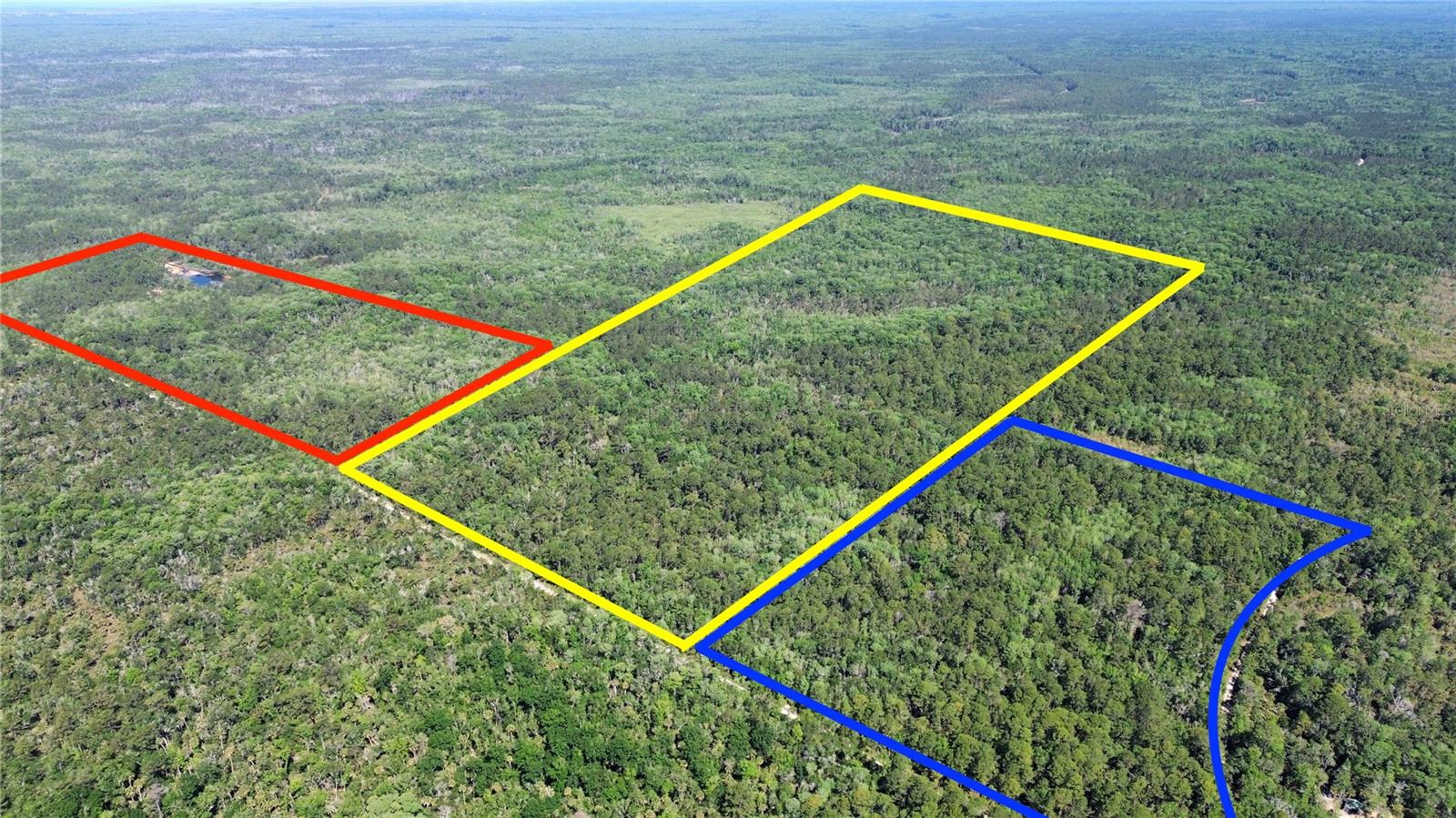Tract 100 SW CR-347, CHIEFLAND, FL — photo 2