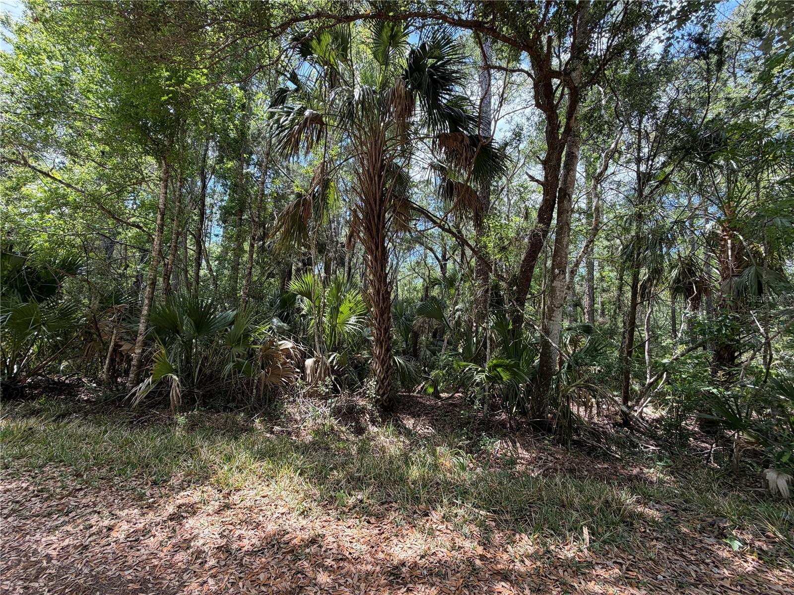 Tract 100 SW CR-347, CHIEFLAND, FL — photo 20