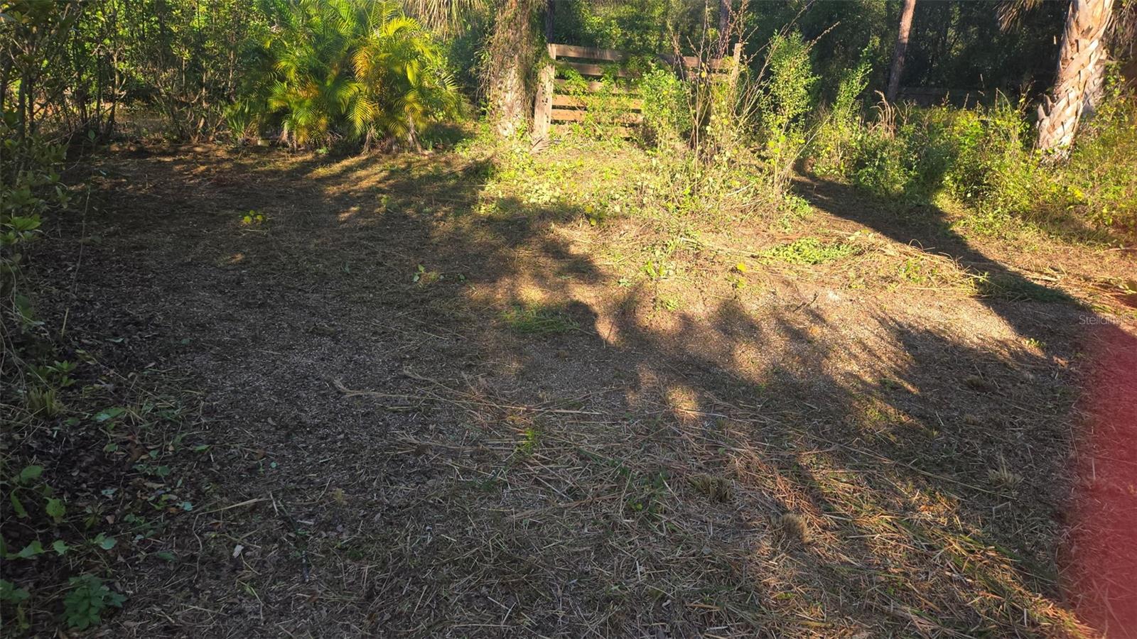 1231 RAMUS ST E, LEHIGH ACRES, FL — photo 2