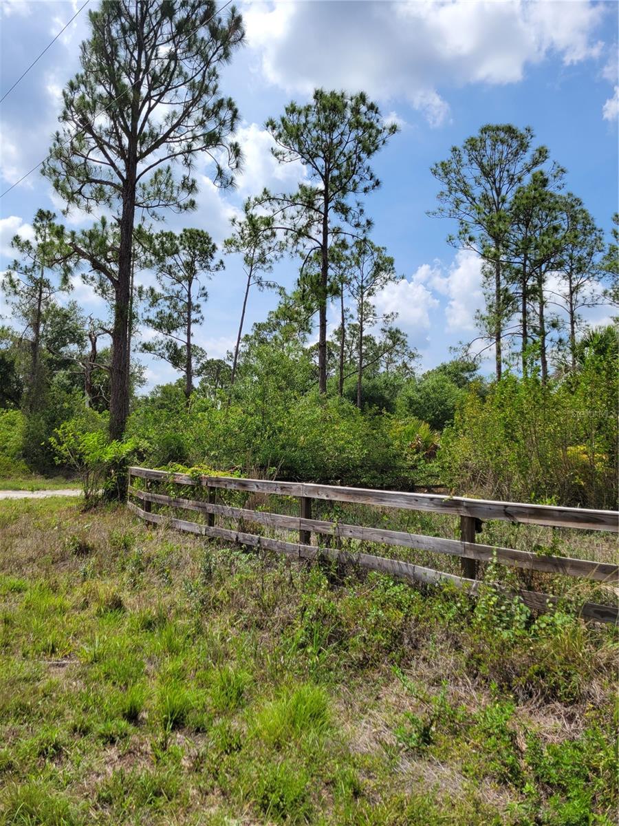 1231 RAMUS ST E, LEHIGH ACRES, FL — photo 8