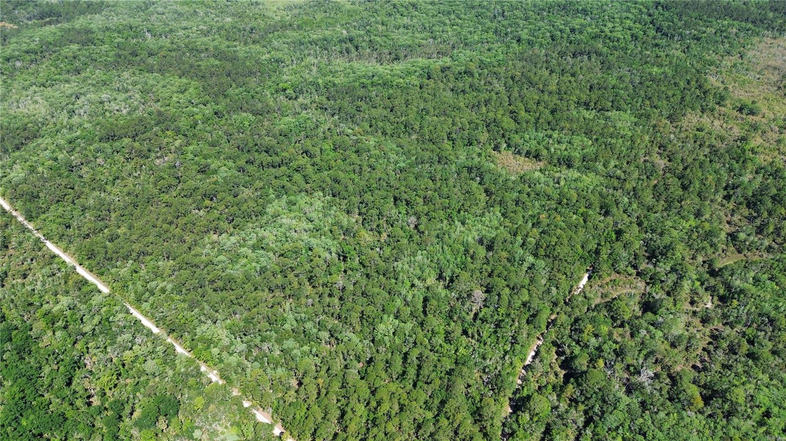 Tract 102 SW CR-347, CHIEFLAND, FL — photo 13