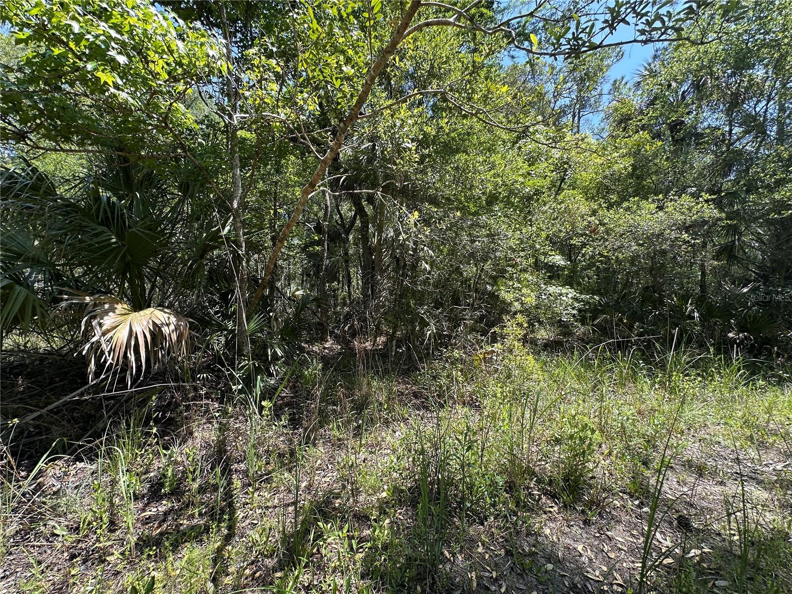 Tract 102 SW CR-347, CHIEFLAND, FL — photo 22