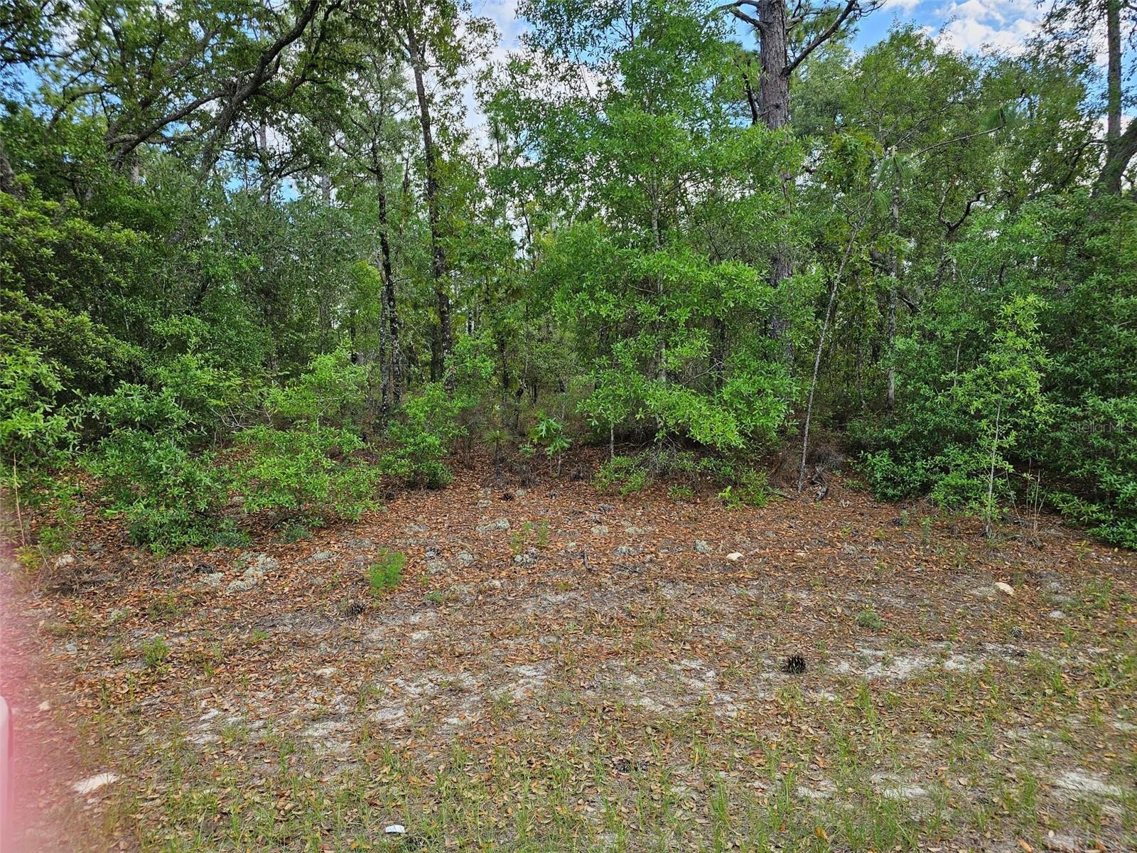 9440 N OLD MILL WAY, DUNNELLON, FL