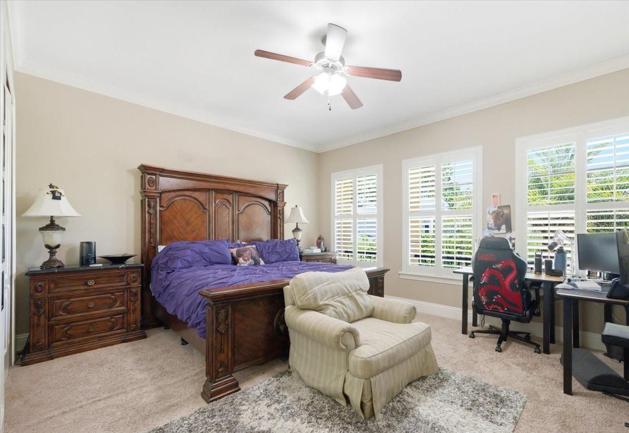 18258 WAYNE RD, ODESSA, FL — photo 59