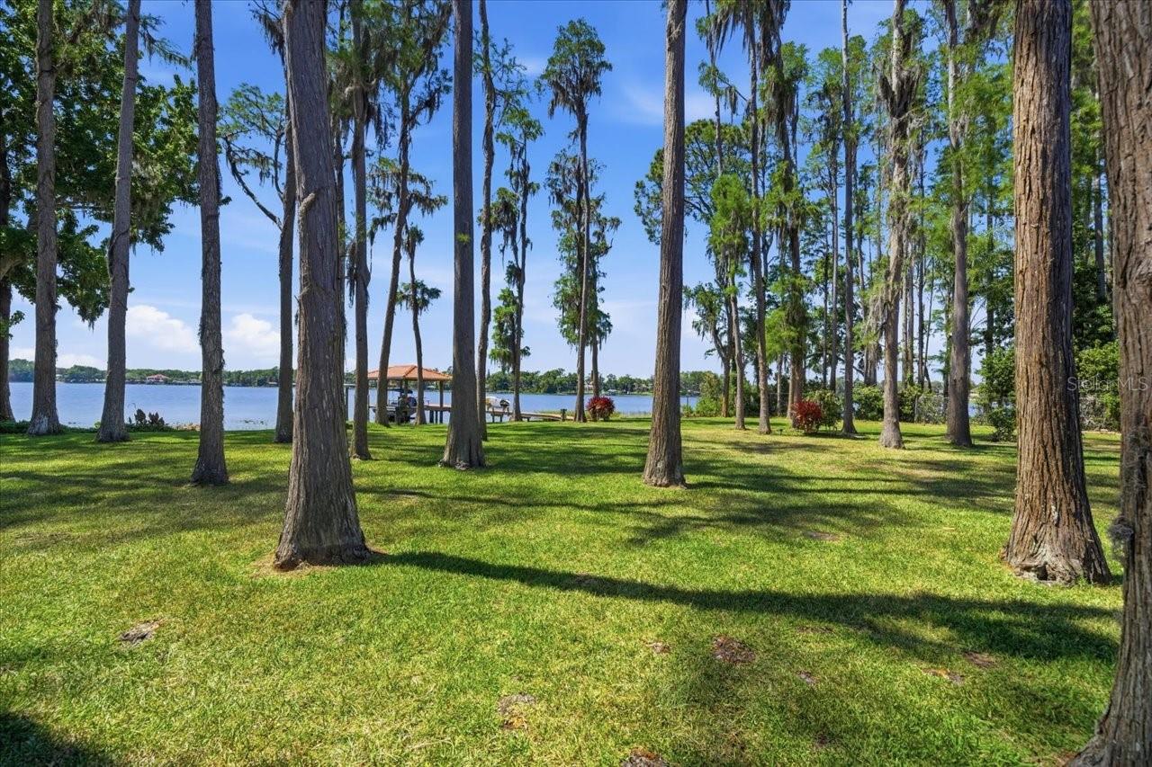 18258 WAYNE RD, ODESSA, FL — photo 84