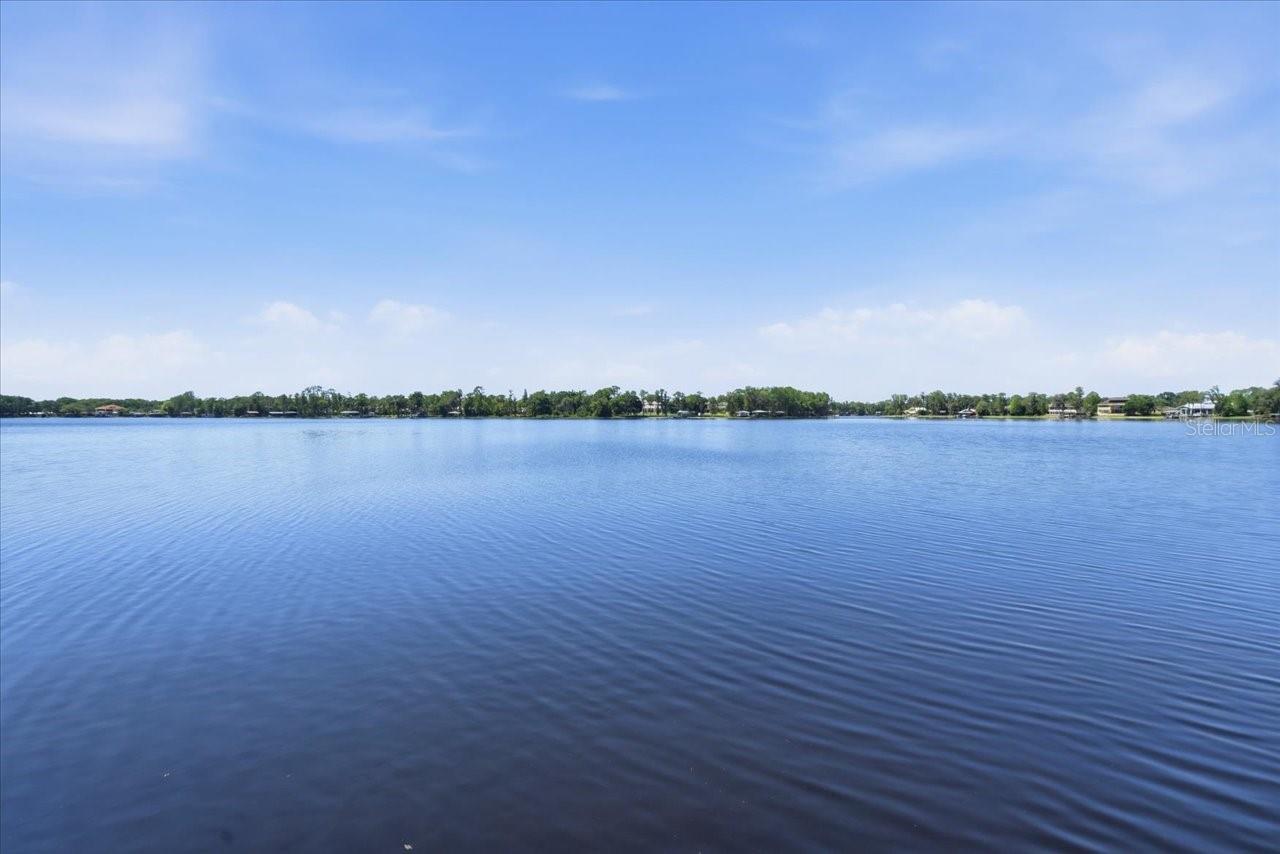 18258 WAYNE RD, ODESSA, FL — photo 91