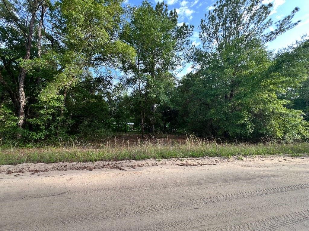 DECKER STREET LOT 12 13, INTERLACHEN, FL
