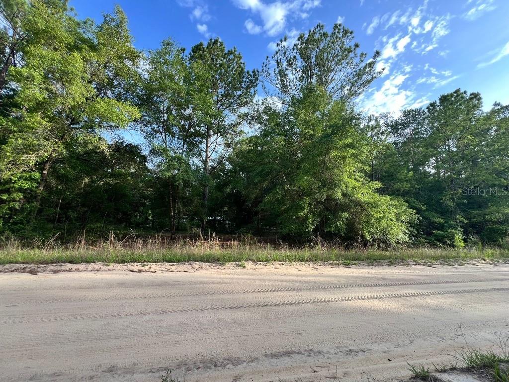 DECKER STREET LOT 12 13, INTERLACHEN, FL — photo 2