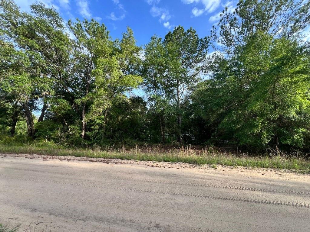 DECKER STREET LOT 12 13, INTERLACHEN, FL — photo 3