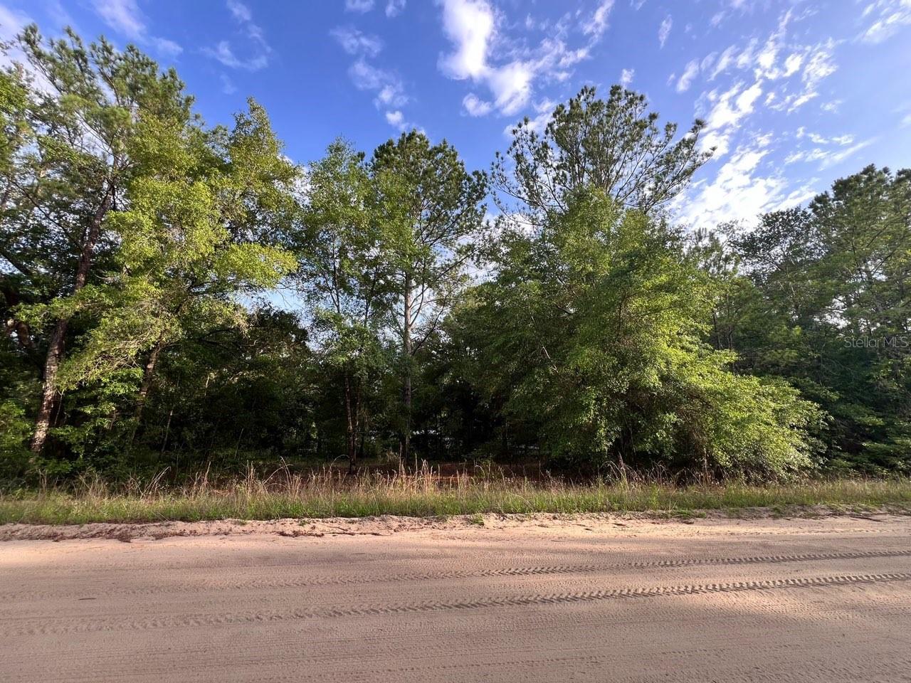 DECKER STREET LOT 12 13, INTERLACHEN, FL — photo 4