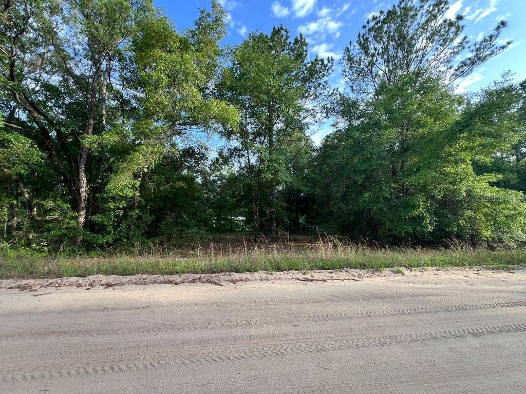 DECKER STREET LOT 12 13, INTERLACHEN, FL — photo 5