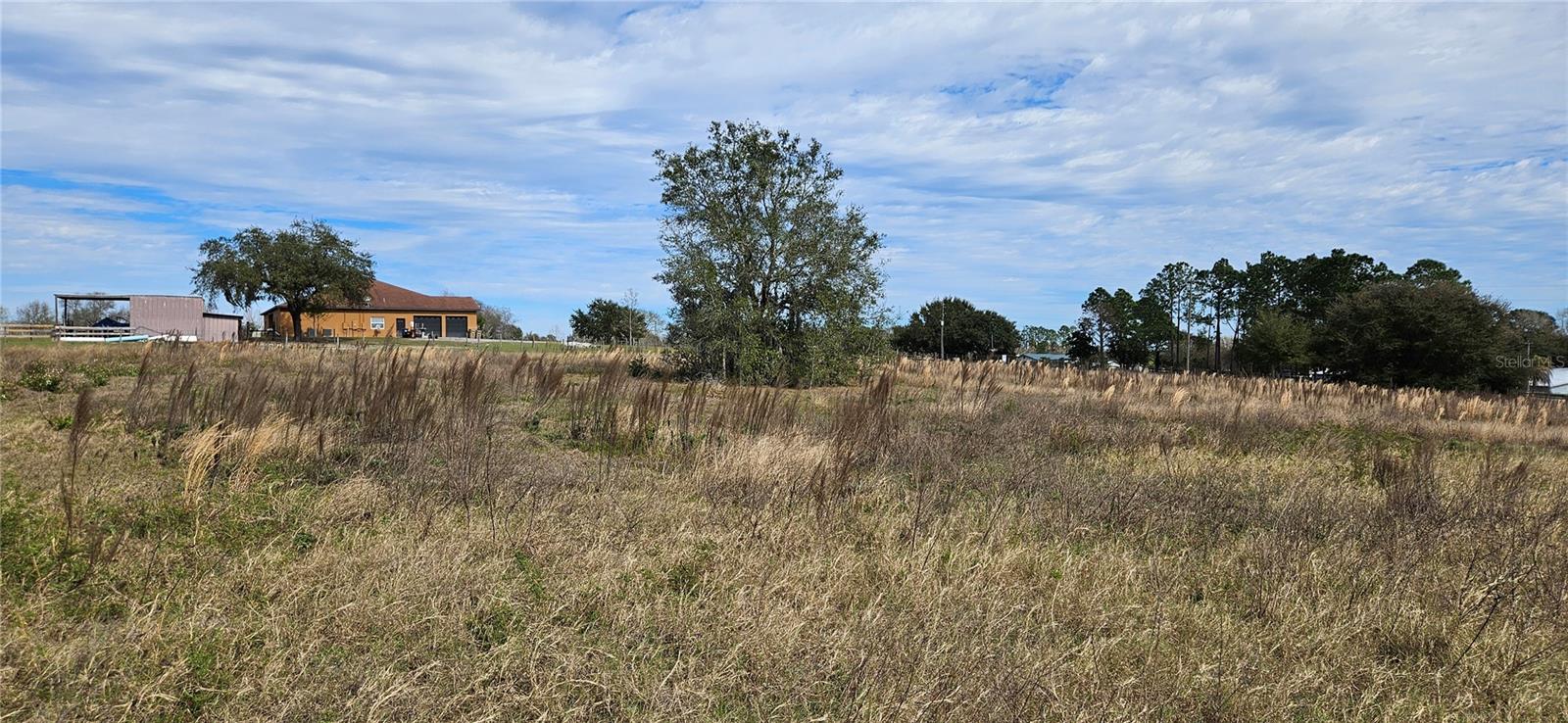 24207 TURKEY LAKE RD, HOWEY IN THE HILLS, FL — photo 3