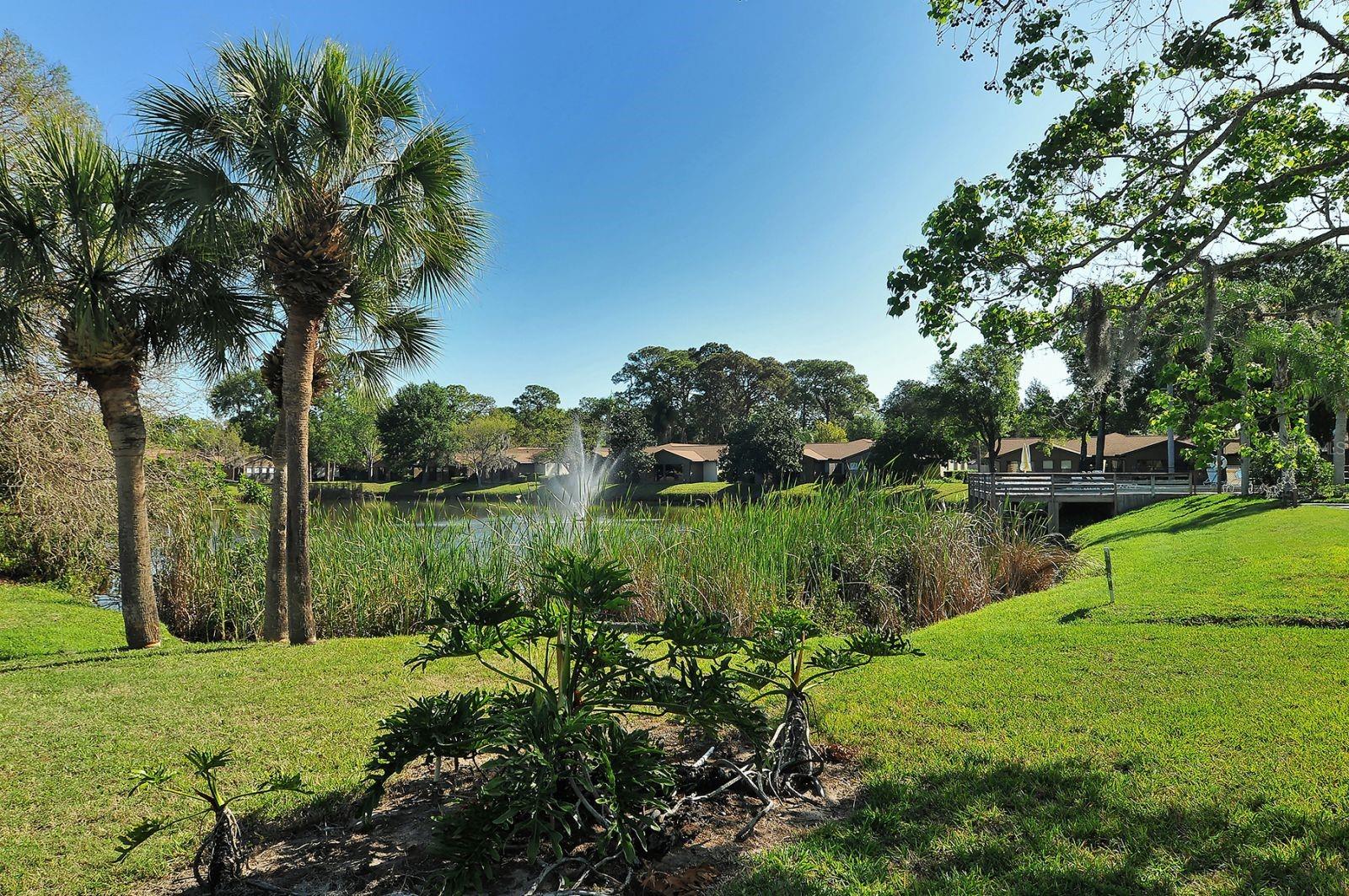 4633 OAK HILL DR #13, SARASOTA, FL — photo 42