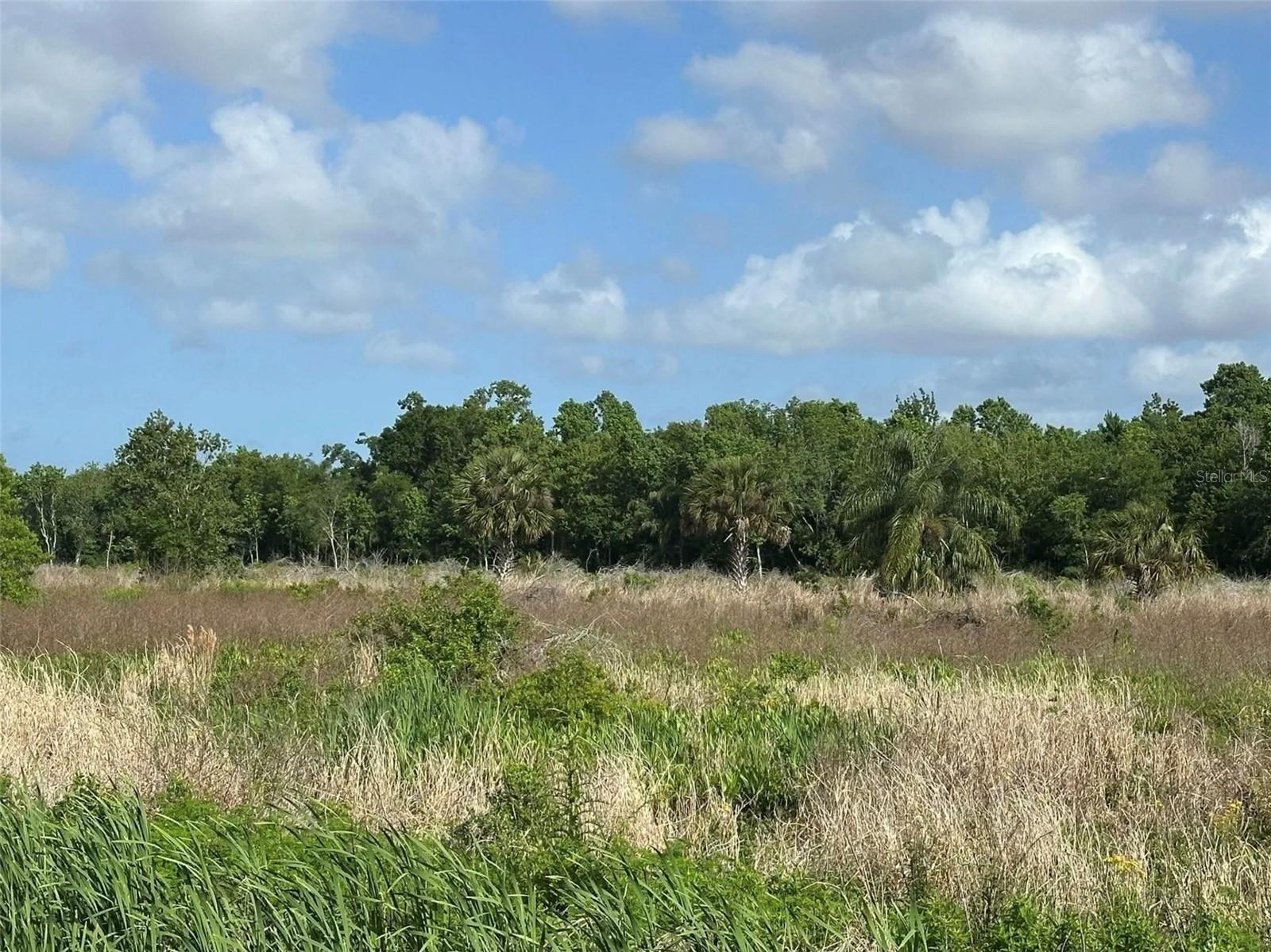 HOWARD AVE, OVIEDO, FL — photo 3