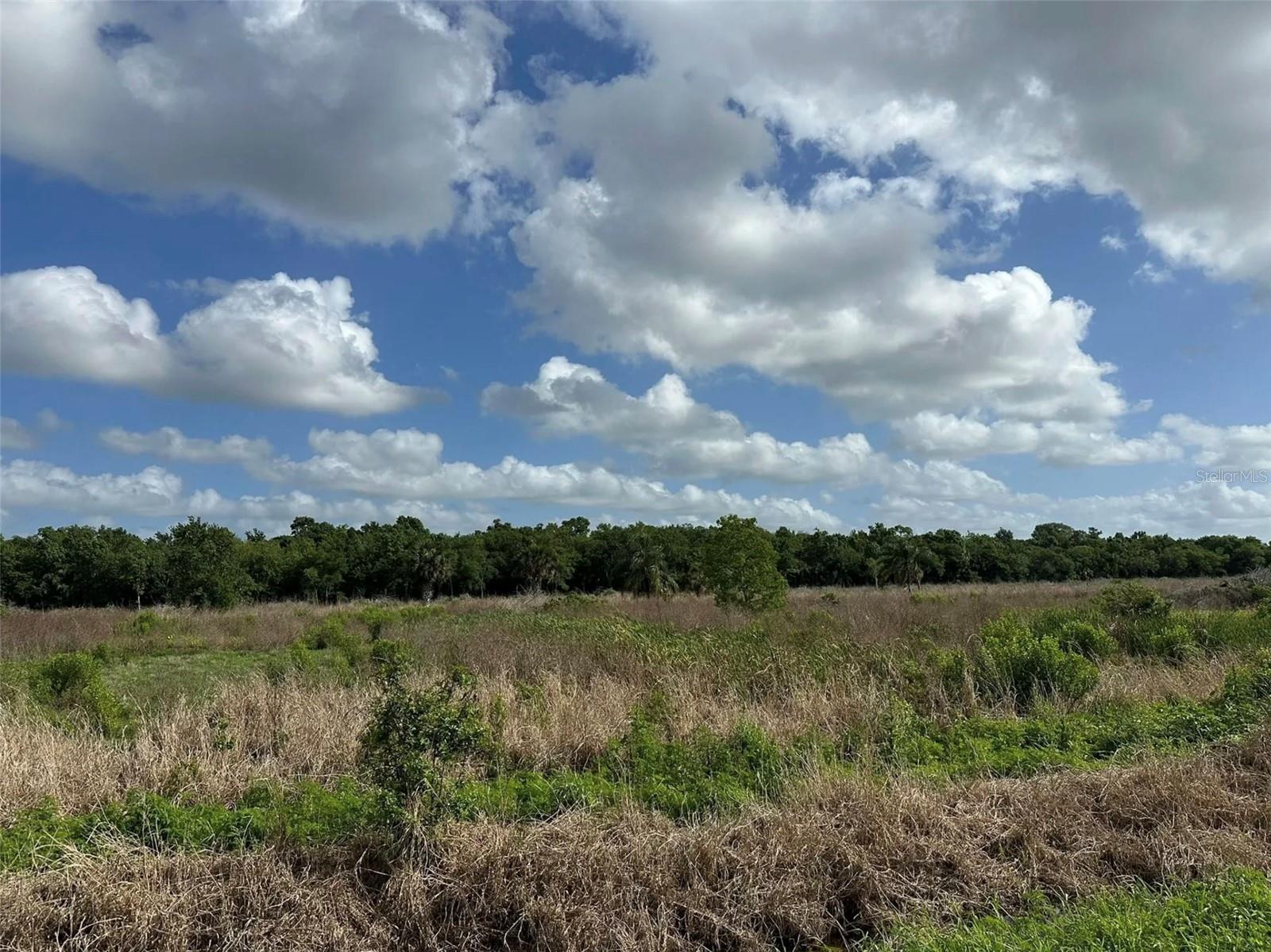 HOWARD AVE, OVIEDO, FL — photo 5