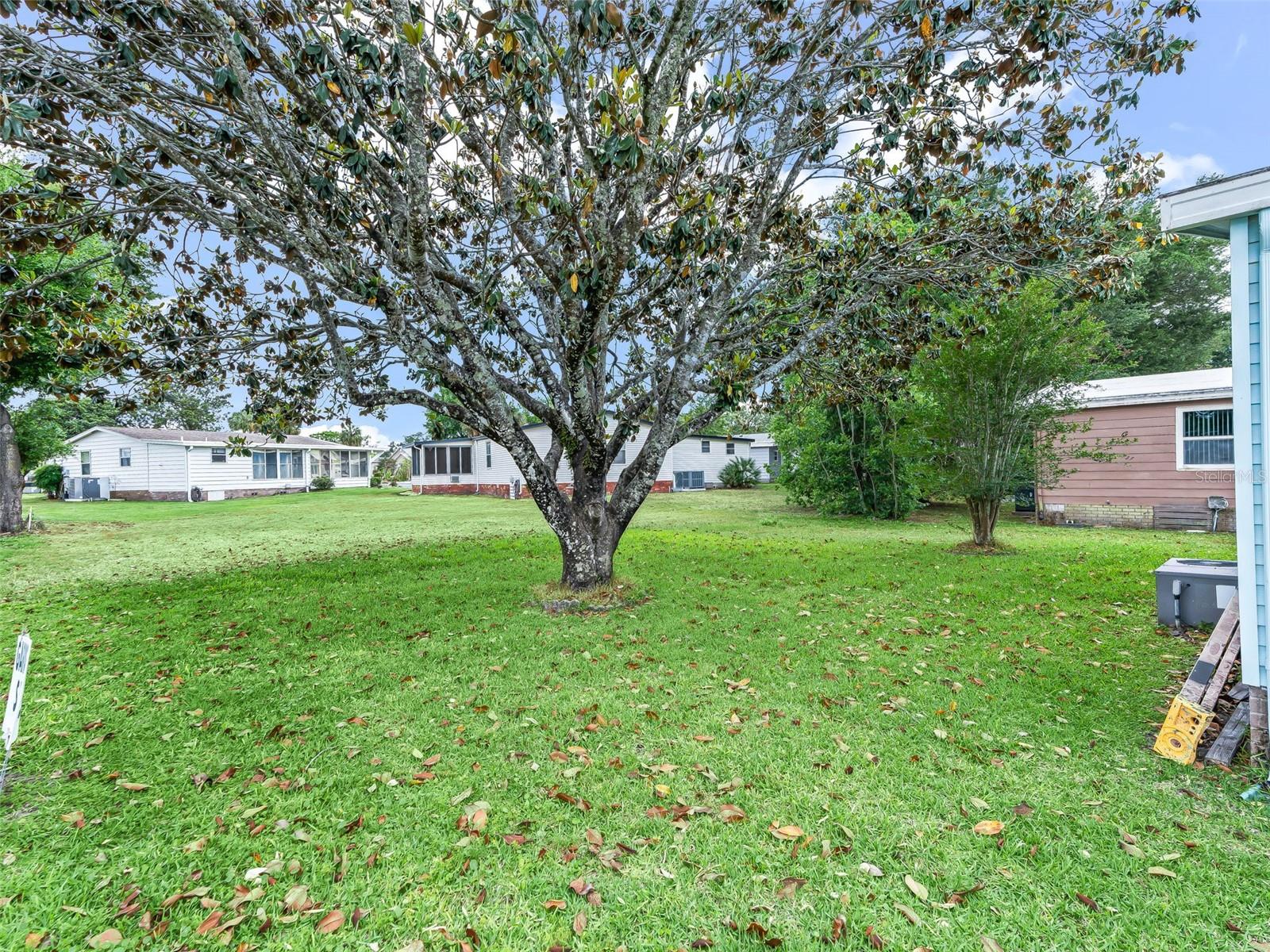 1809 DAFFODIL LN, LADY LAKE, FL — photo 60