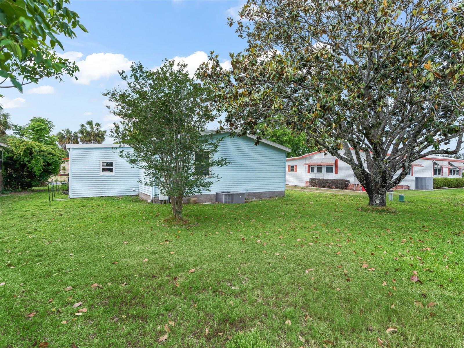 1809 DAFFODIL LN, LADY LAKE, FL — photo 61